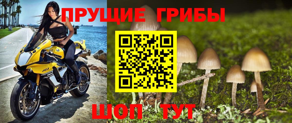 Ливны  Галлюциногенные грибы Psilocybine cubensis  Вход с VPN 